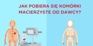 7 faktów o szpiku od DKMS!